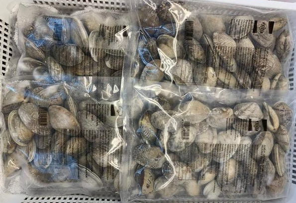 Vongole Veraci Surgelate - Image 2